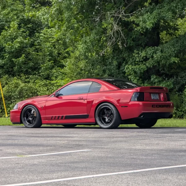 99-04 Mustang Side Stripe Inspired by S650 - Image 3