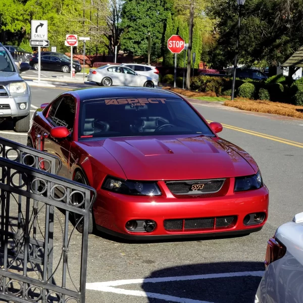 03-04 Ford Mustang Cobra Mesh Grille - Image 8