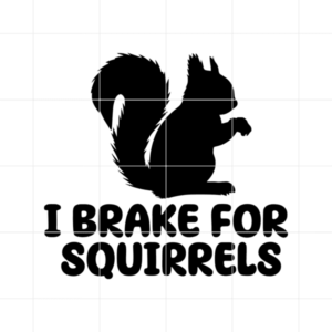 I Brake For Squirrels Decal