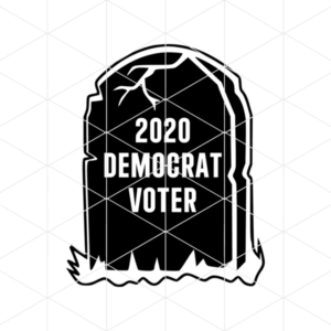 2020 democrat voter 1