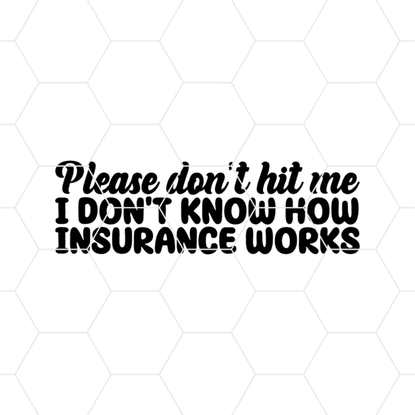 Please Dont Hit Me I Dont Know How Insurance Works Decal