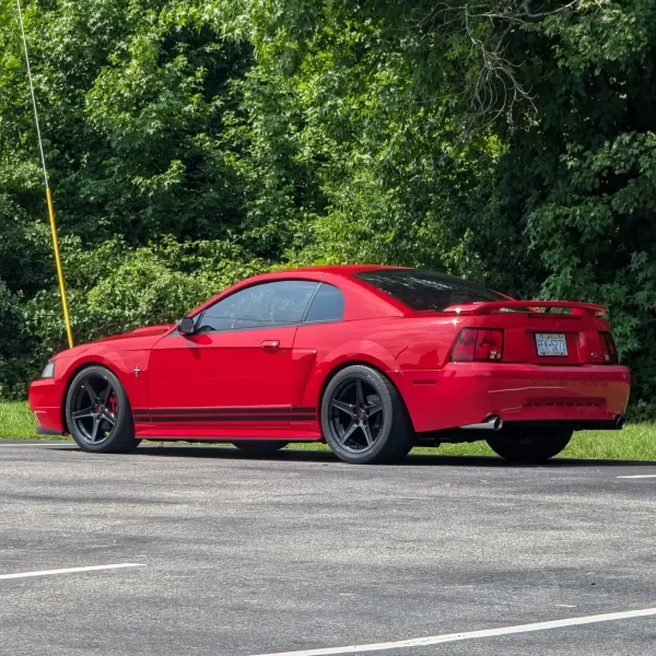 99 04 mustang side stripe inspired by gt350 1